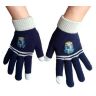 Перчатки Гарри Поттер Рейвенкло Harry Potter Ravenclaw gloves Перчатки Гарри Поттер Рейвенкло Harry Potter Ravenclaw gloves