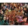 Пазл Гарри Поттер Harry Potter Characters Movie Collage Puzzle (1000-Piece) Пазл Гарри Поттер Harry Potter Characters Movie Collage Puzzle (1000-Piece)
