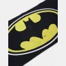 Полотенце Бэтмен Batman Logo Beach Towel 150 x 75 см.  