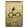 Блокнот Cerda Harry Potter Glasses Premium Notebook (Hardcover) 