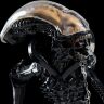Статуэтка MINI EPICS: XENOMORPH 19 cm (Weta) Статуэтка MINI EPICS: XENOMORPH 19 cm (Weta)