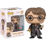 Фігурка Funko Harry Potter with Basilisk Fang and Sword фанко Гаррі Поттер меч ікло (Exclusive 2022 FC) 147