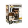 Фигурка Funko Pop! Harry Potter with Sword Hot Topic Exclusive Фигурка Funko Pop! Harry Potter with Sword Hot Topic Exclusive